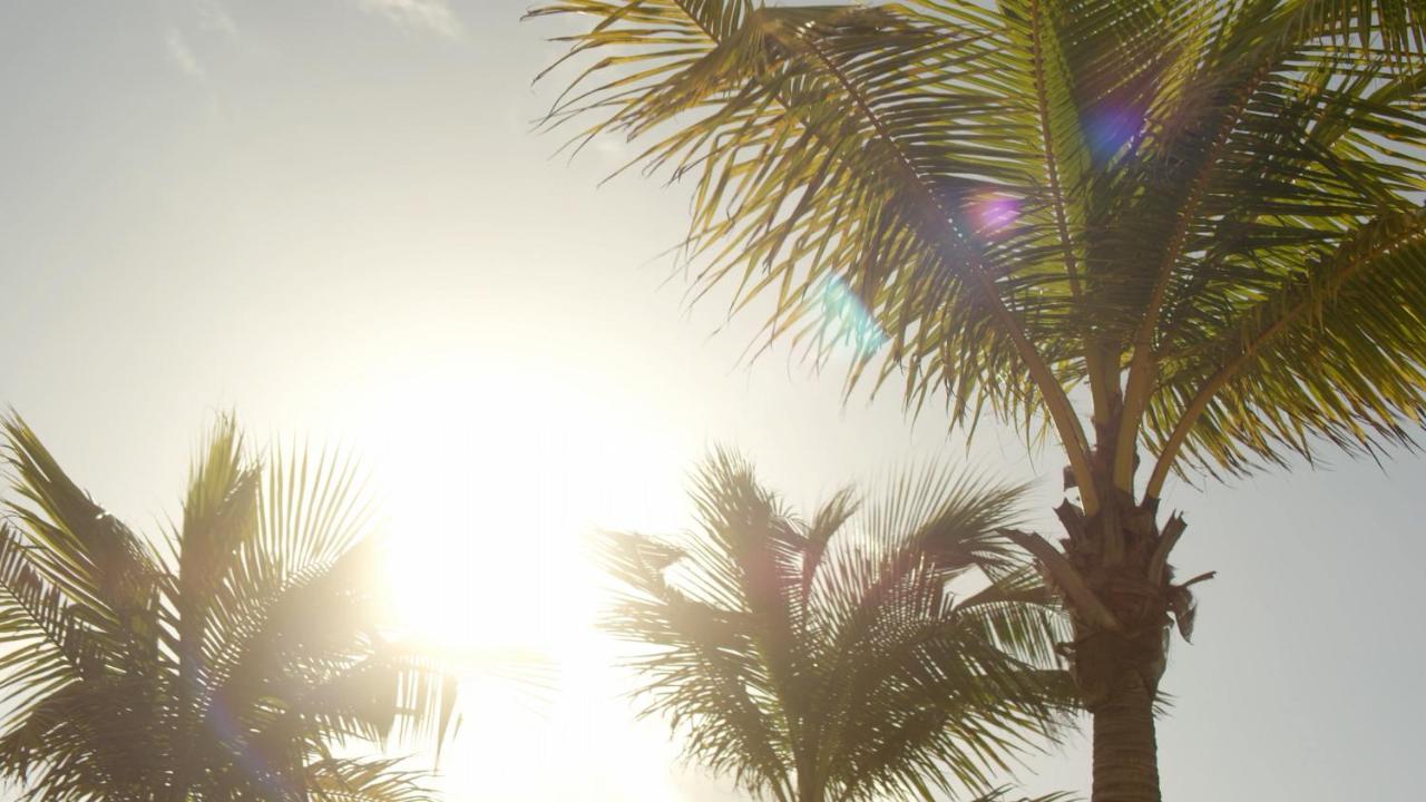 Secrets Riviera Cancún Resort&Spa - Adults Only - All inclusive Puerto Morelos Exterior foto